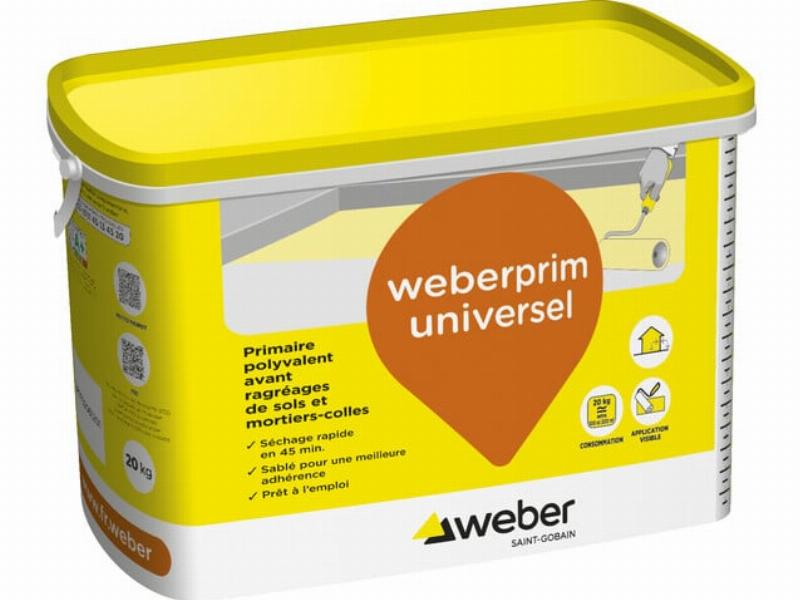 Peinture plastifiée pour mur extérieur, application au rouleau dans un style français