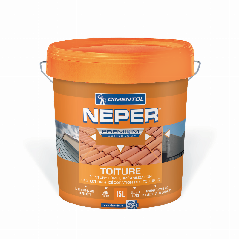 Peinture protectrice pour toiture en fibro-ciment, préservant l'architecture française.