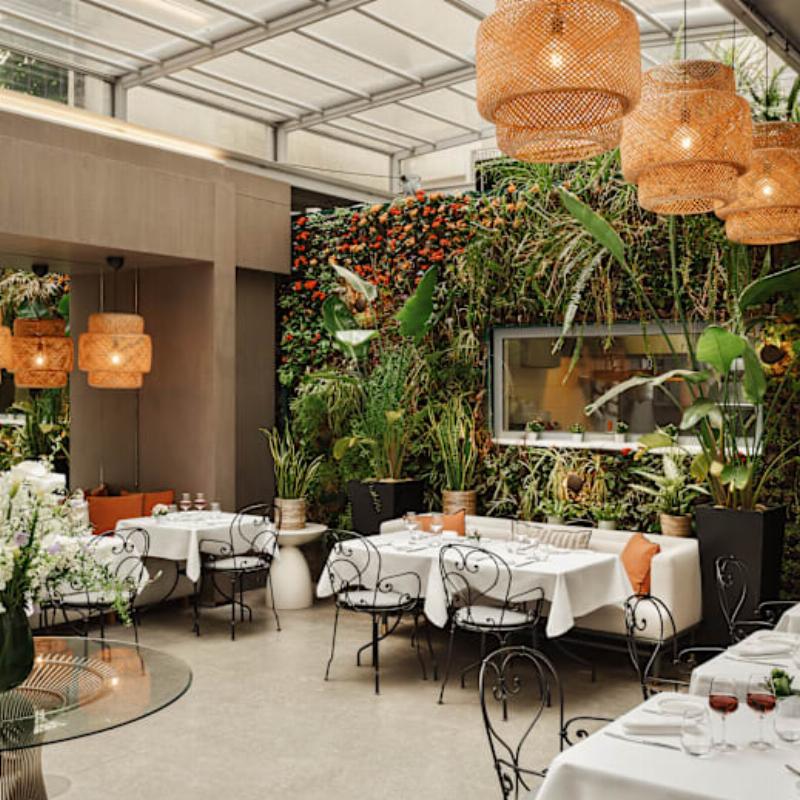 Art du dressage d'un plat gastronomique français avec des éléments architecturaux délicats et une sauce élégante