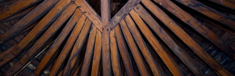 La charpente médiévale de Notre Dame de Paris, surnommée "la Forêt".