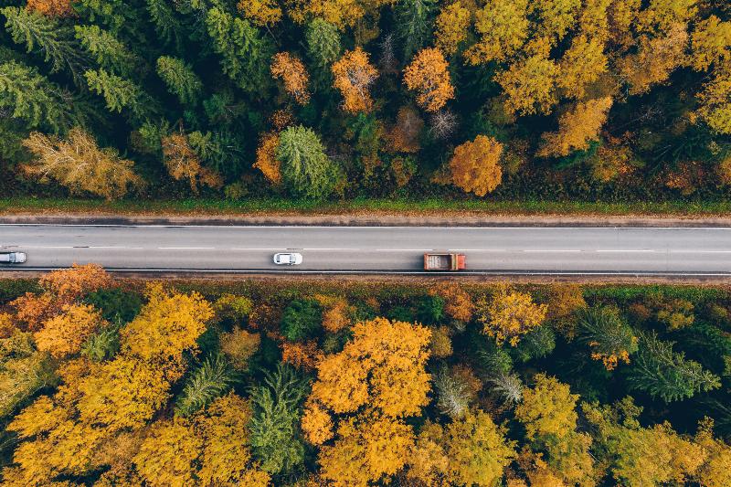 Guide pour dissoudre les traces de peinture sur une voiture avec des produits de detailing