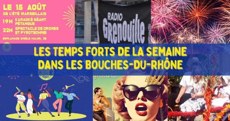 Une soirée magique de musique classique en plein air sous les étoiles d'été en France