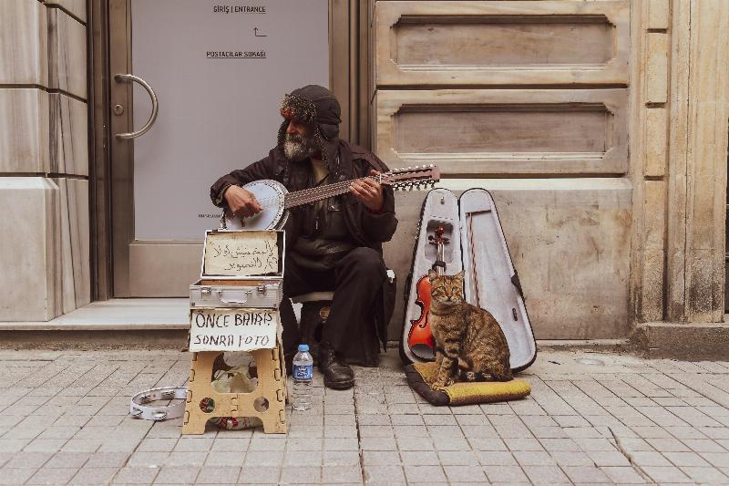 La douceur d'une guitare classique jouant une mélodie apaisante