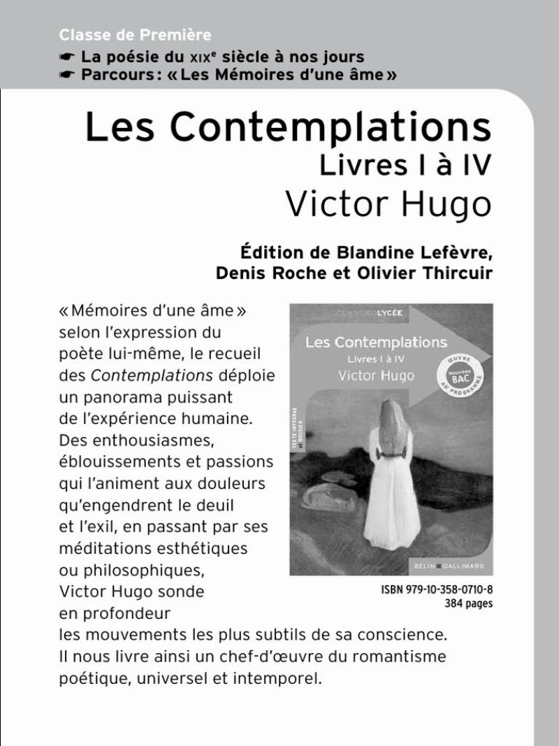 Victor Hugo en exil à Guernesey, peignant la mer déchaînée