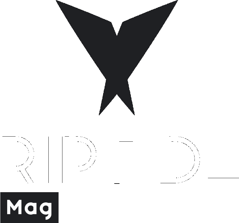 Indochine en concert, la foule en liesse, symbolisant l'énergie de la pop-rock française