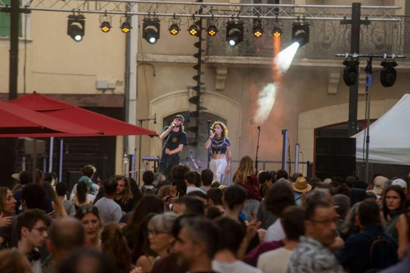 Vue d'ensemble d'artistes pop français variés sur scène