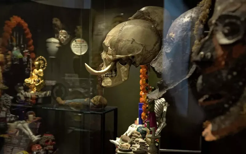 Vue extérieure de Notre Dame de Paris avec des visiteurs se préparant pour leur visite réservée