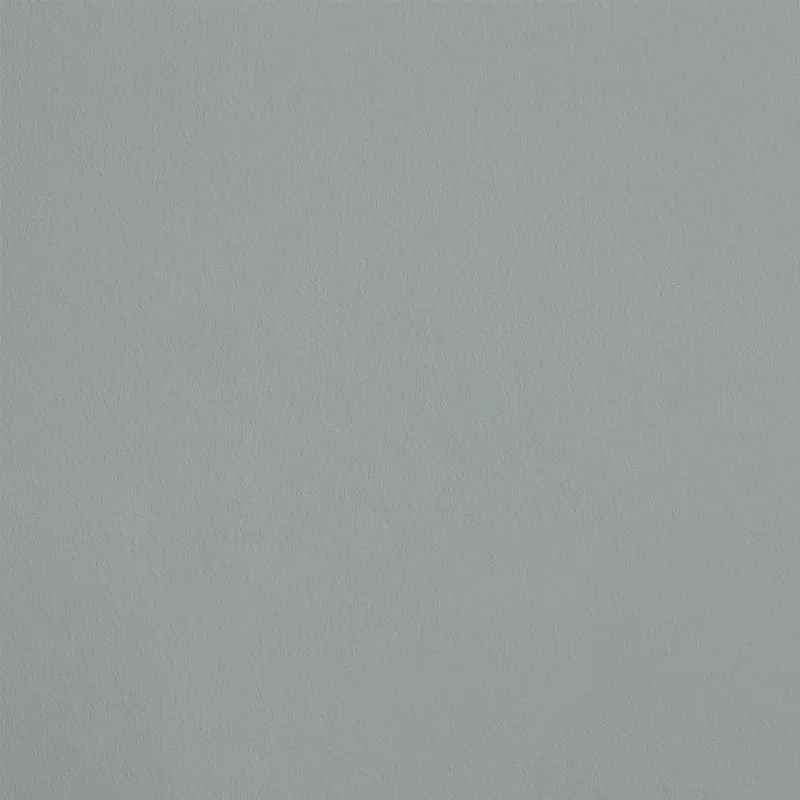 Palette élégante de peinture gris perle inspirée par la France