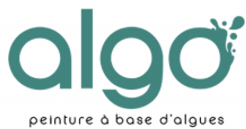 Alt text: Divers échantillons de peinture blanche aux nuances chaudes et froides sur un mur.