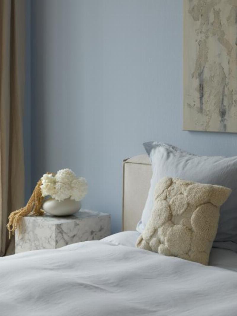 Peinture bleu chambre invitant à la détente, style français