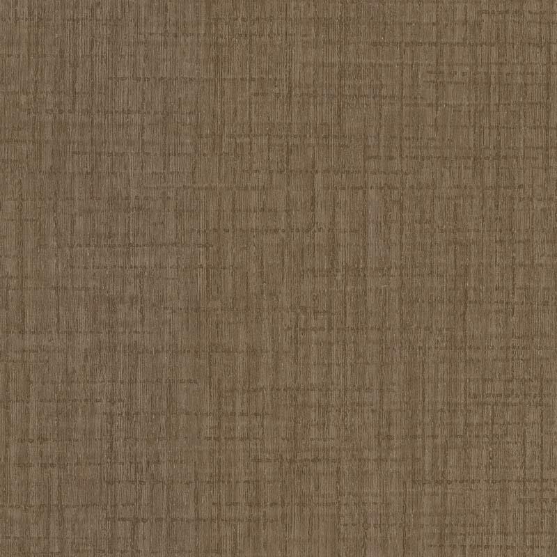 Effet visuel peinture murale dans un salon français, ambiance chaleureuse et élégante avec des textures subtiles.