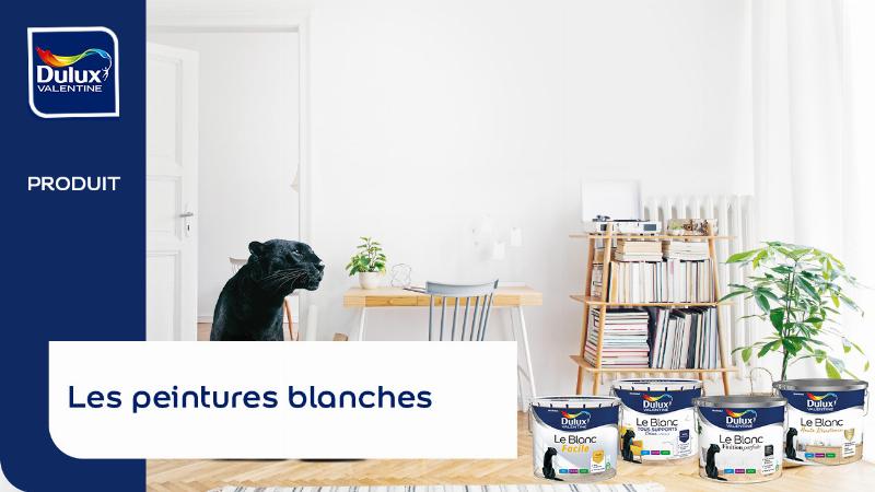 Peinture finition velours appliquée sur les murs d'un salon élégant de style français, lumière douce