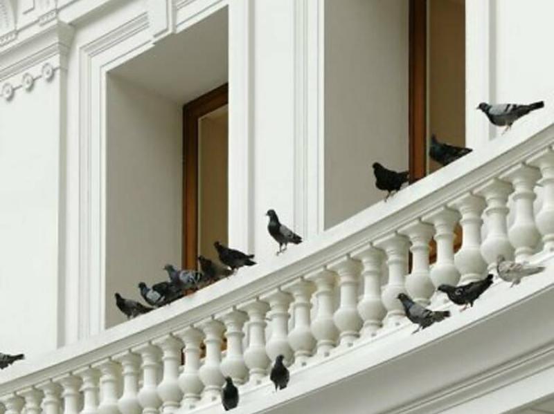 La statue femme voilée du Louvre, un chef-d'œuvre de sculpture, captivant par son voile de marbre réaliste