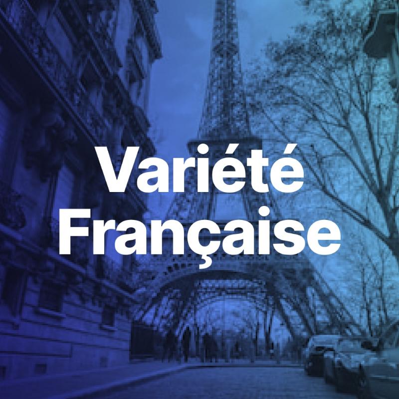 Diversité des styles dans les paroles de chansons françaises