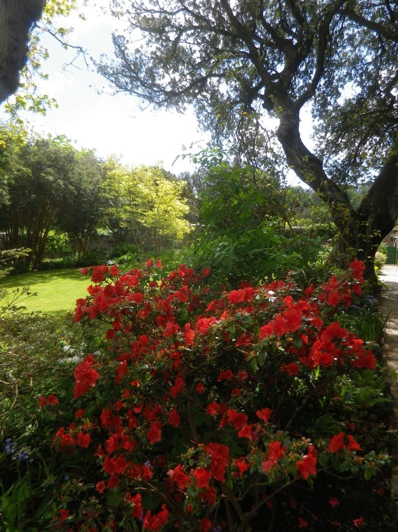 Le bureau de Victor Hugo à Hauteville House, Jersey, avec une vue sur la mer et un mobilier d'époque reflétant son espace de travail et d'inspiration.